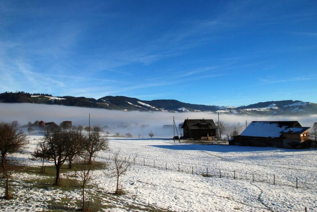 Naturnoech Unterägeri Habitación foto